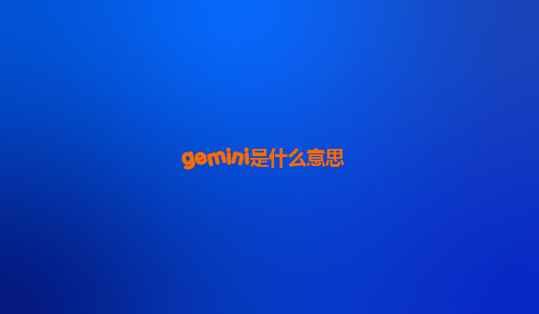 gemini是什么意思